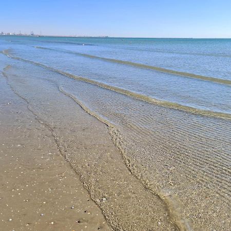 Vladimir Residence Mamaia Nord 那沃达利 外观 照片