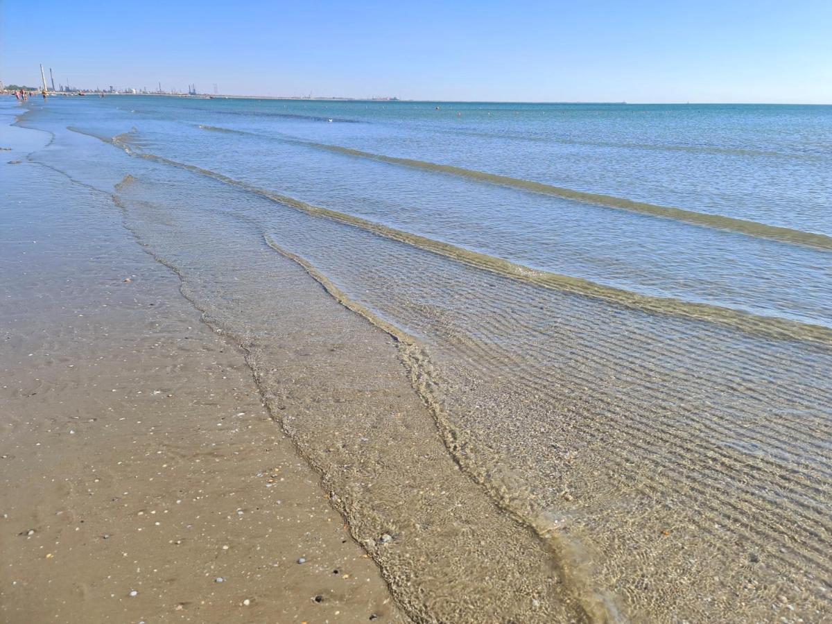 Vladimir Residence Mamaia Nord 那沃达利 外观 照片